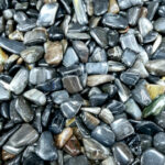 Полирани  камења  - скаменето дрво -црно (Petrified Wood Black )